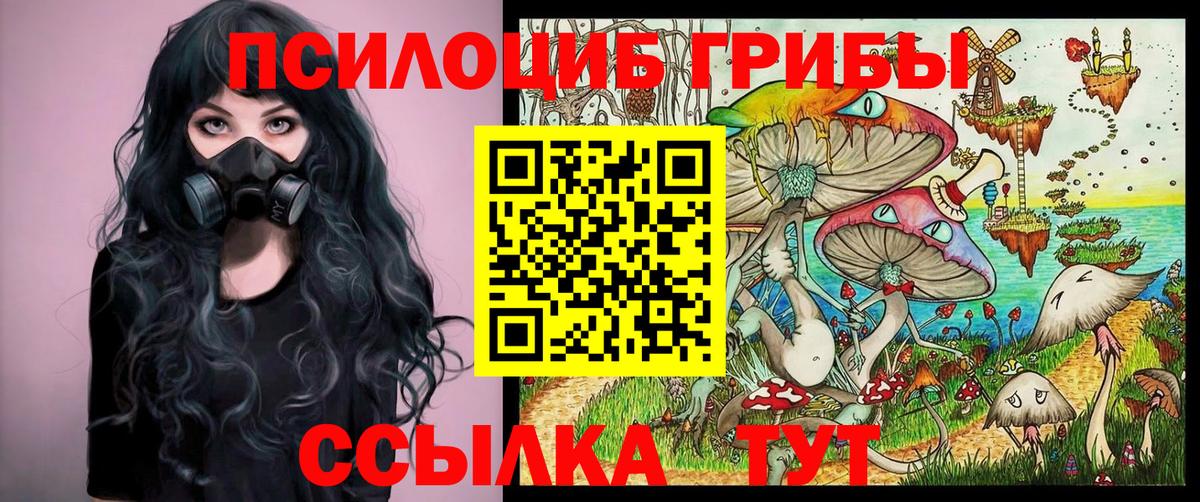 Галлюциногенные грибы GOLDEN TEACHER  Вход с VPN  Удомля 